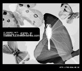 Butterflies