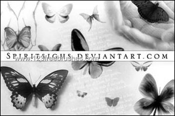 Butterflies