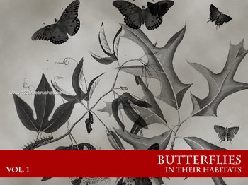 Butterflies