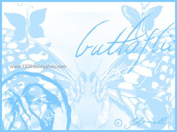 Butterflies
