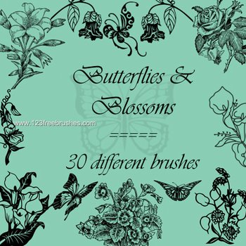 Butterflies and Blossoms