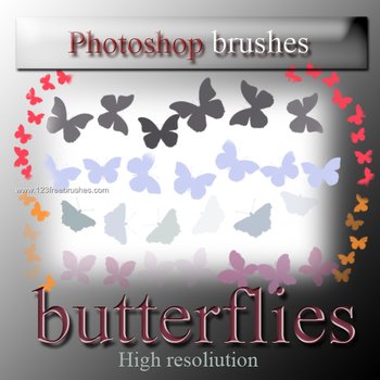 Butterflies High Resolution