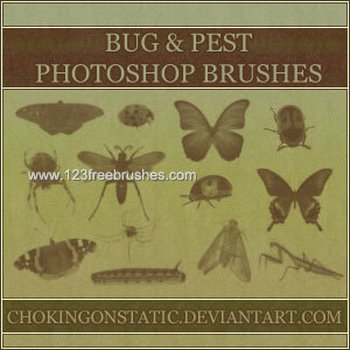 Butterfly – Dragonfly and Ladybird
