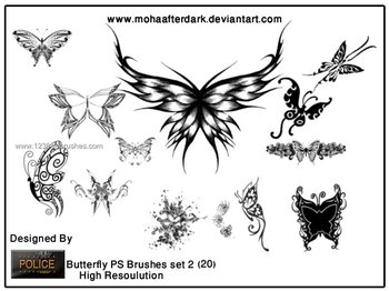 Butterfly