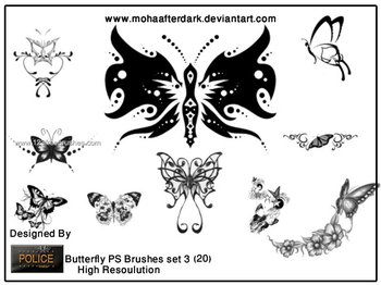 Butterfly