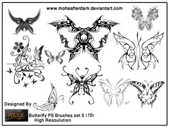 Butterfly
