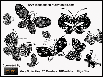 Butterfly