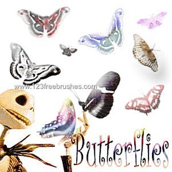 Butterfly