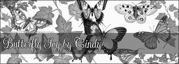 Butterfly Ivy