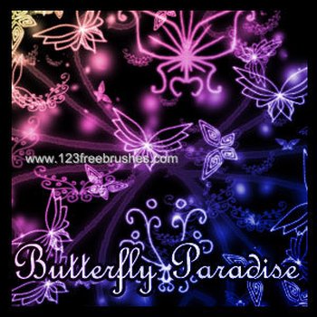 Butterfly Paradise