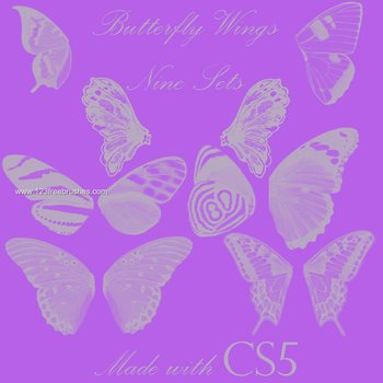 Butterfly Wings