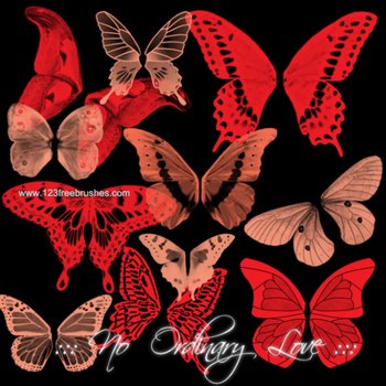 Butterfly Wings