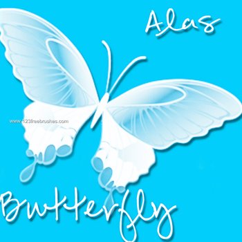 Butterfly Wings
