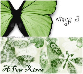 Butterfly Wings