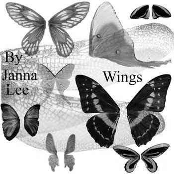 Butterfly Wings