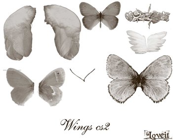 Butterfly Wings