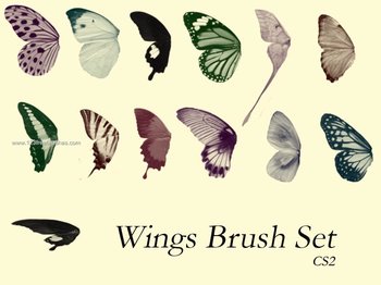 Butterfly Wings