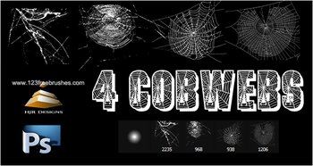 Cobweb