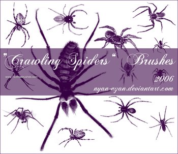 Crawling Spiders