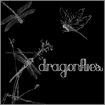 Dragonflies