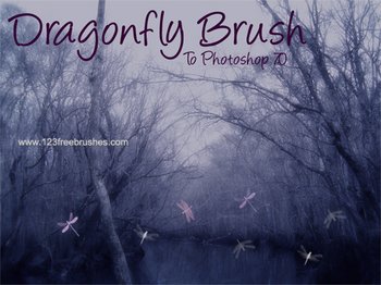Dragonfly