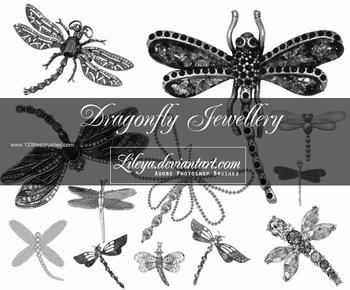 Dragonfly Jewelry