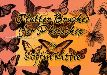 Flutter Butterfly
