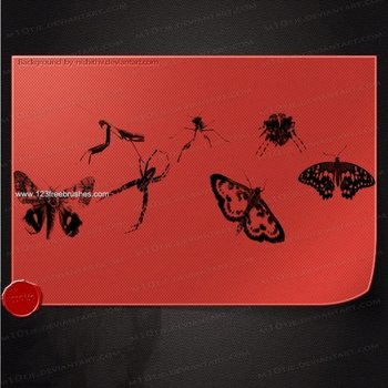 Insects