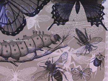 Insects