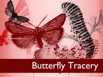 Painterly Butterflies