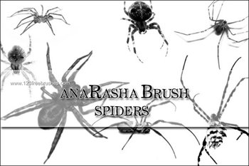 Spider