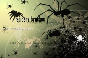 Spider
