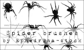 Spider Silhouettes