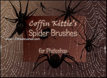Spider Silhouettes