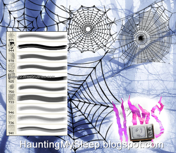 Spider Web