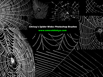 Spider Web