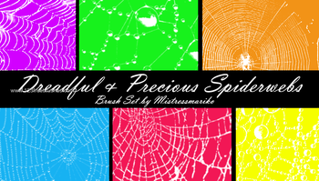 Spider Web