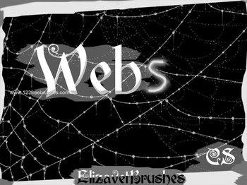 Spider Web