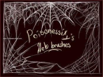 Spider Web