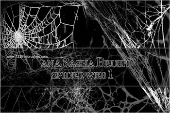 Spider Web