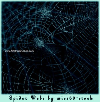 Spider Web