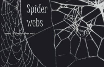 Spider Web