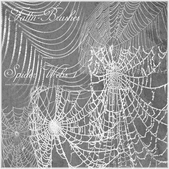 Spider Web