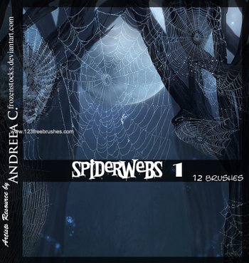 Spider Web