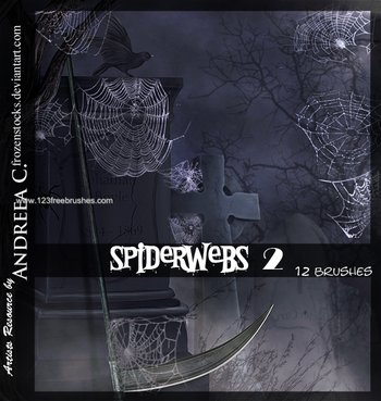 Spider Web