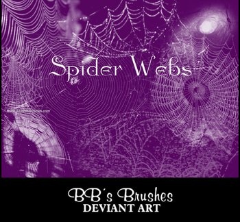 Spider Web