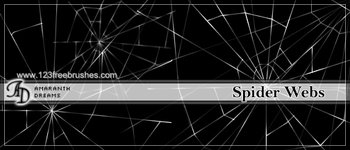 Spider Web