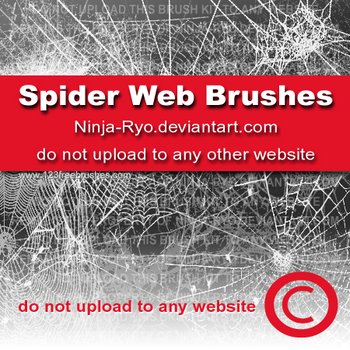 Spider Webs