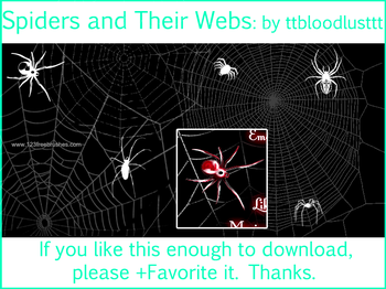 Spider Webs