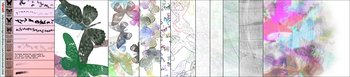 Sprinkle Butterflies and Texture